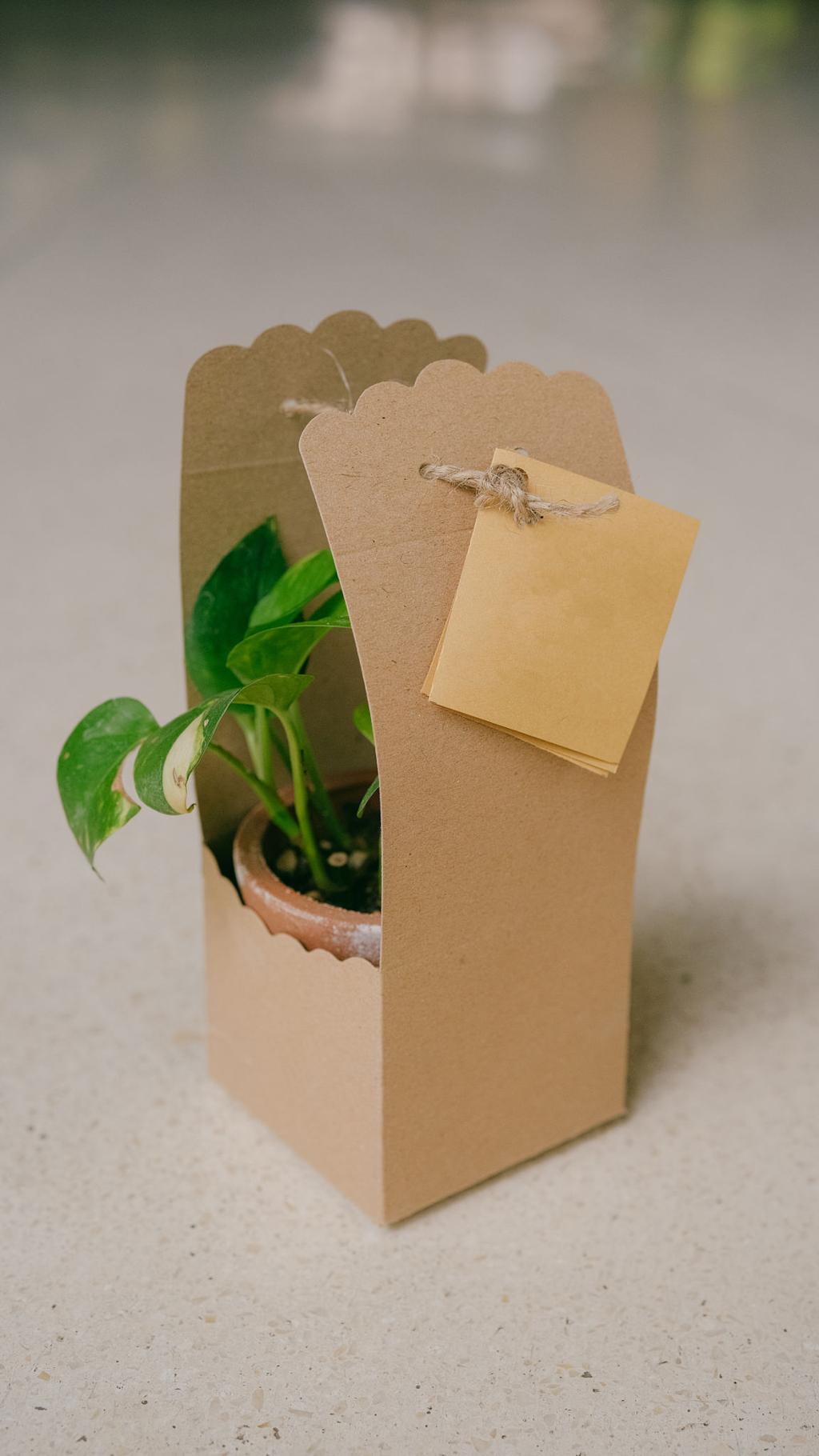 Product 1